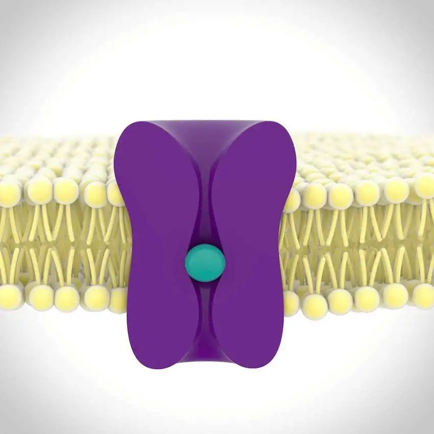 Central effect of Ketorolac involving NMDA receptors activity