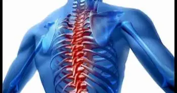 Correlation between the pain numeric rating scale and the 12-item WHO Disability Assessment Schedule 2.0 in patients with musculoskeletal pain