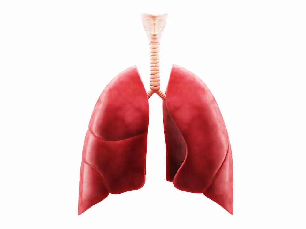 Pulmonary Hypertension