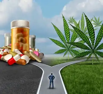 Medical cannabis for neuropathic pain