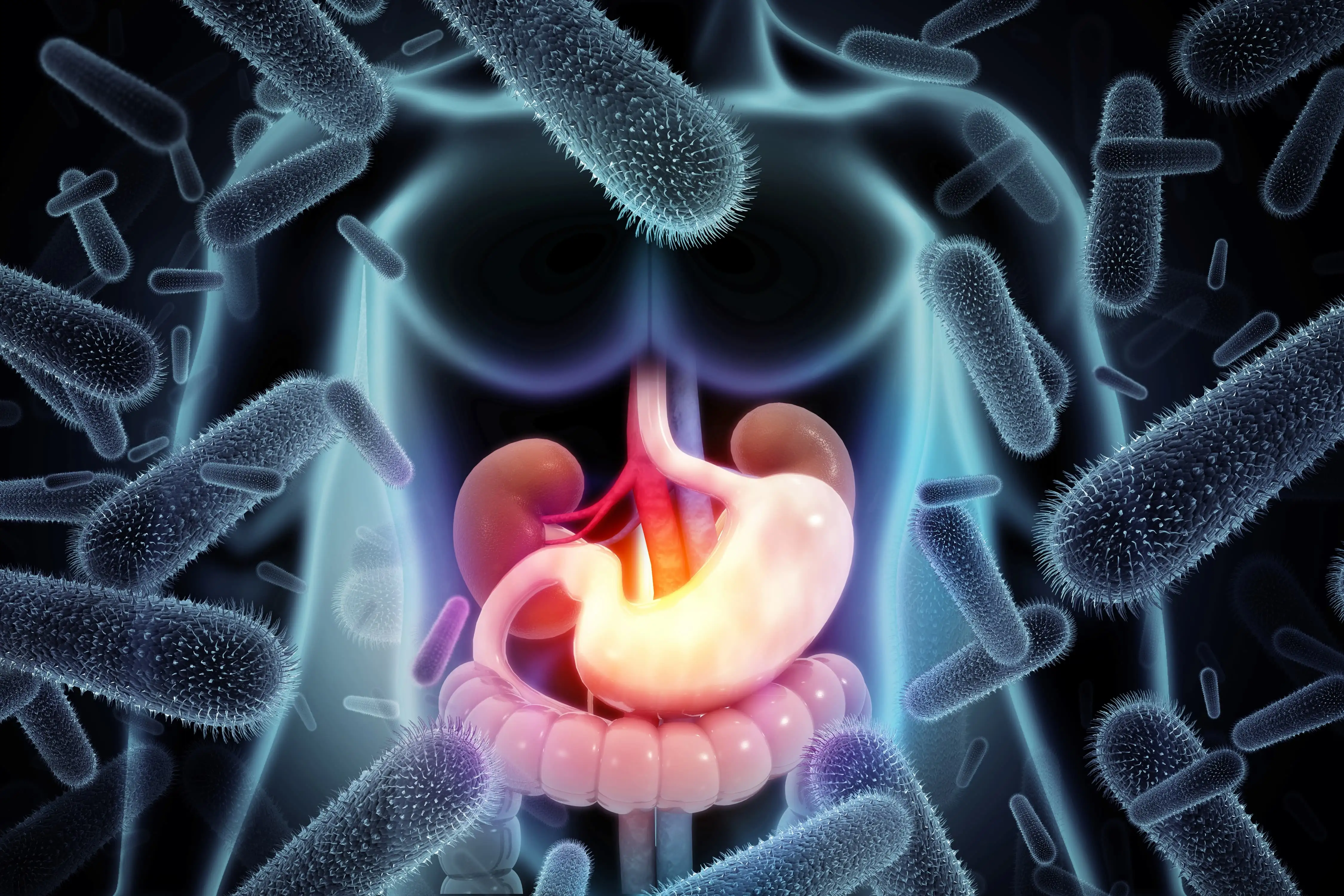 Antibiotic resistance in H. pylori